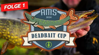 AMS Deadbait Cup 2024 Folge 1 - Meterhecht zum Turnierstart?
