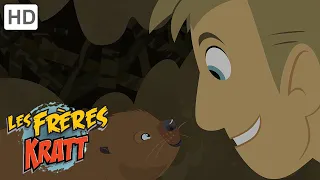 Les Frères Kratt |Construisez-Le Castor| Saison 1