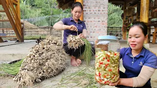 Harvesting Preserved Cu Kieu | Recipe for preparation & Preservation for 365 days | Trieu Mai Huong