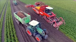 Potato / Carrot and Celeriac harvest / Oogst 2014 - Vrolijk Landbouw | Grimme Tectron 415