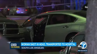 Woman shot in the head while driving in South LA, police say