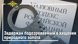 Ирина Волк: Подозреваемый в хищении природного золота задержан сотрудниками полиции в Якутии