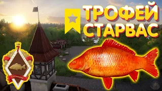 ТРОФЕЙ Карп красный Старвас - чешуйчатый | Закрыл карпфишинг | оз. Янтарное | Русская Рыбалка 4