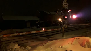 Rainy night train gate malfunctioning with a coyote