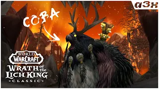 Кач кач кач, пока +50% опыта / WoW WotLK Classic #69. Пламегор.