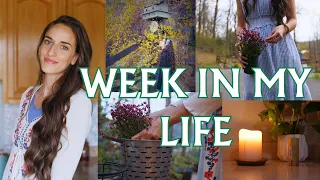 10 Minutes Can Transform Your Whole Week | Simple Early Spring Days