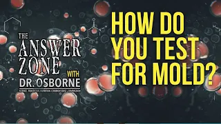 What is the best way to test for mold? (plus more answers!) - The Answer Zone