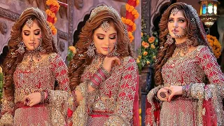 Kashees bridal hairstyle l curly hairstyles l wedding hairstyles inspired by tiktoker #Shahtaj khan