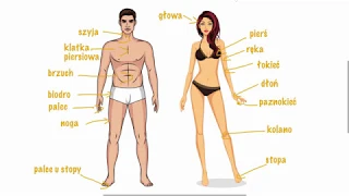 Polish vocabulary - Body parts