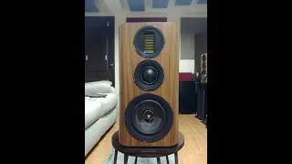 Wharfedale Evo 4.2 Review vs Bowers & Wilkins 606 vs KEF LS50 - Best looking 1K Speaker