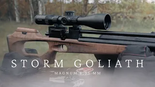 PCP ВИНТОВКИ STORM GOLIATH MAGNUM 6,35 mm / ОПТИЧЕСКИЙ ПРИЦЕЛ MEWLITE 4-24X56 FFP IR