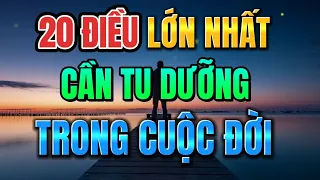 NHỮNG NGƯỜI CÓ TRÍ TUỆ CAO ĐỀU TU DƯỠNG NHỮNG ĐIỀU CỐT LÕI NÀY