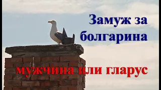 Замуж за болгарина, Особенности болгарских мужчин, Как ухаживают болгары, Как знакомятся в Болгарии