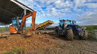 CLEANING OUT YOUNG STOCK SHED AND PUTTING IN SLURRY CHANNEL