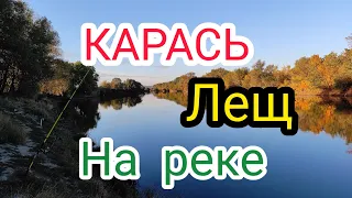 Карась и Лещ осенью на реке. Кукуруза, Пенопласт, Макуха. Было очень холодно.