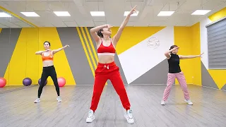 20 min Stubborn Belly Fat and Slim Waist Exercise | AEROBIC DANCE