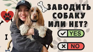 🐶ПОЧЕМУ НЕ СТОИТ ЗАВОДИТЬ СОБАКУ | МИНУСЫ❌