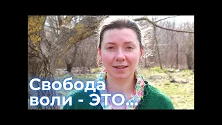 ✨Свобода Воли - что это?✨Выбор✨Канал Осознанность @Osoznannost.