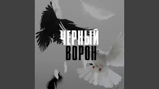 Черный ворон