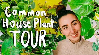 Common House Plant Tour?! I NEED MORE!!!