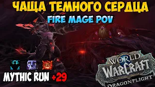 Mythic Run +29 | Почти Чистейший Ран | DragonFlight 10.2.5