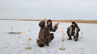 Рыбалка на ЖЕРЛИЦЫ! Ловим ЩУКУ на живца! Тонкий и ОПАСНЫЙ ЛЁД!