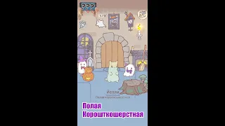 [Кошки и Суп]Полая Короткошерстная