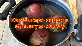 Как быстро сварить большую свеклу?