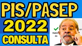 CONSULTA PIS/PASEP 2022 NA CARTEIRA DE TRABALHO DIGITAL E RAIS - ABONO SALARIAL CALENDÁRIO 2024