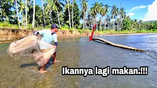 JALA IKAN YANG LAGI MAKAN DI PINGGIR SUNGAI, AUTO DAPAT BANYAK.!!! best fishing video