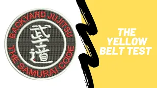 This is What The Yellow Belt Test Looks Like