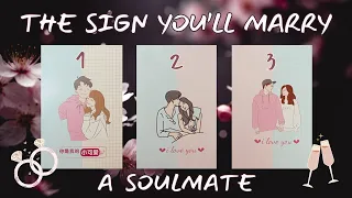 Who's The SOULMATE You'll Marry? PICK A CARD Tarot Reading