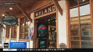 Environmental artist Wyland's gallery amongst hundreds of buildings destroyed by Maui fire