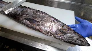 まるでゾンビのような魚を解体してみると・・・