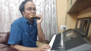 Main hoon jhum jhum jhumroo || harmonica instrumental