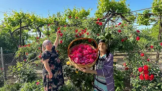 Grandma's old Rose Jam Recipe | Harvest from the Garden