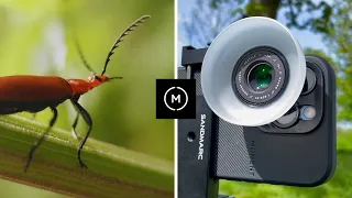 10 TIPS for MACRO filmmaking on your SMARTPHONE| MOMENT T-SERIES 10X MACRO LENS