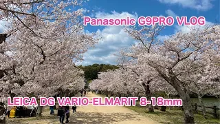 Panasonic G9PRO VLOG Leica VARIO-ELMARIT 8-18mm #510 [4K]