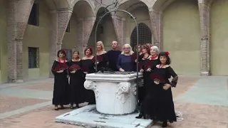 Festa della creatività - Ferrara 2019 (Lady Barrio)