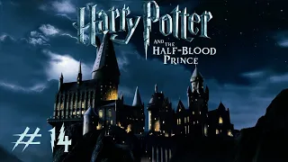 Harry Potter and the Half-Blood Prince - 14 - Potion-making (T492)