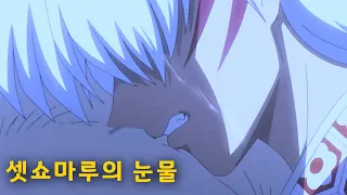 sesshomaru's Tears