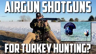 Airgun Shotgun Turkey Hunting: Increase Knock Down Power and Range with Tungsten Super Shot!