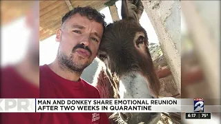 One Good Thing: Man and donkey share emotional reunion after 2 weeks in quarantine