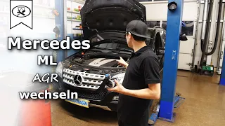 Mercedes ML W164 AGR Wechseln | change EGR | VitjaWolf | Tutorial | HD