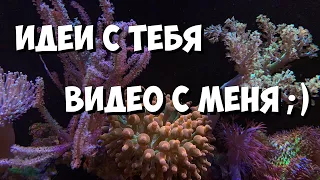 О чём снять видео?) Пишите ваши варианты) Морской аквариум