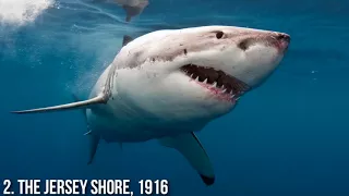 10 Worst Shark Attacks