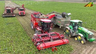 Großeinsatz Rübenernte mit HOLMER Terra Dos 5 der neue Rübenroder 2023 Traktor JD 8RX Landwirtschaft