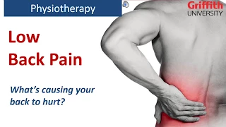 Physiotherapy for Low Back Pain - Griffith Physiotherapy Clinic