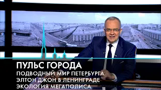 Пульс города. Последний звонок, Петербург как экосистема, Элтон Джон в СССР. 24 мая 2024