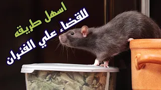 وداعا للفئران🐁 بهذه الطريقة الأمنة بديل المصيدة وسم الفئران🐁وهيتم القضاء عليهم👍